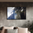 Quadro Decorativo Animais Horse Eye Com Moldura E Vidro Preto