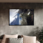 Quadro Decorativo Animais Horse Eye Com Moldura E Vidro Preto