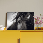 Quadro Decorativo Animais Horse Eye Com Moldura Prata - 120x8