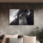 Quadro Decorativo Animais Horse Eye Com Moldura Prata - 200x1
