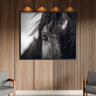 Quadro Decorativo Animais Horse Eye Com Moldura Preto - 150x8