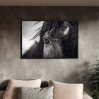 Quadro Decorativo Animais Horse Eye Com Moldura Preto - 90x60