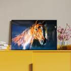 Quadro Decorativo Animais Horse Paint Com Moldura E Vidro Pre