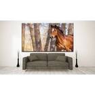 Quadro Decorativo Animais Liberdade Ao Vento - 100x70cm