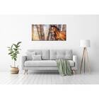 Quadro Decorativo Animais Liberdade Ao Vento - 100x70cm