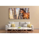 Quadro Decorativo Animais Liberdade Ao Vento - 120x80cm