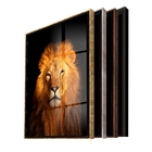 Quadro Decorativo Animais Lion Gold Com Moldura Preta E Vidro