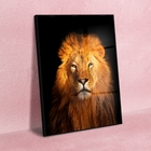 Quadro Decorativo Animais Lion Gold Com Moldura Preta E Vidro