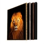Quadro Decorativo Animais Lion Gold Com Moldura Preto 120x80