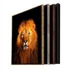 Quadro Decorativo Animais Lion Gold Com Moldura Preto 150x100