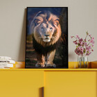 Quadro Decorativo Animais Lion Walk Com Moldura E Vidro Preto