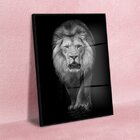 Quadro Decorativo Animais Lion White Com Moldura Preta E Vidr