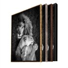 Quadro Decorativo Animais Lions Love Com Moldura Dourada 100x