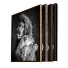 Quadro Decorativo Animais Lions Love Com Moldura Dourada 180x