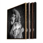 Quadro Decorativo Animais Lions Love Com Moldura Prata 90x60
