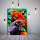 Quadro Decorativo Animais Papagaios - 120x60 Cm