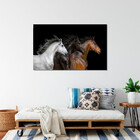 Quadro Decorativo Animais Raças - 120x60 Cm