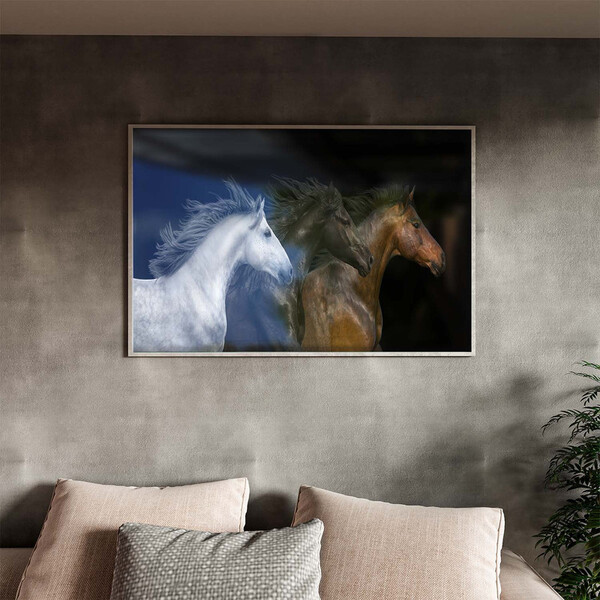 Quadro Decorativo Animais Raças Com Moldura E Vidro Prata - 1