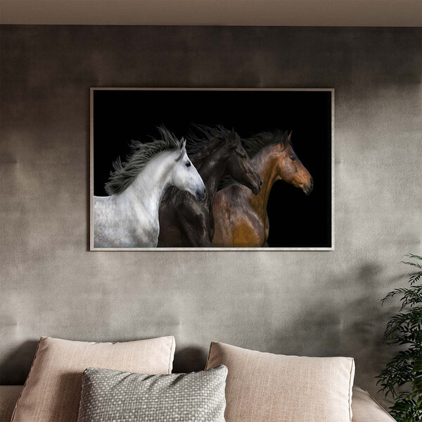 Quadro Decorativo Animais Raças Com Moldura Prata - 180x100 Cm