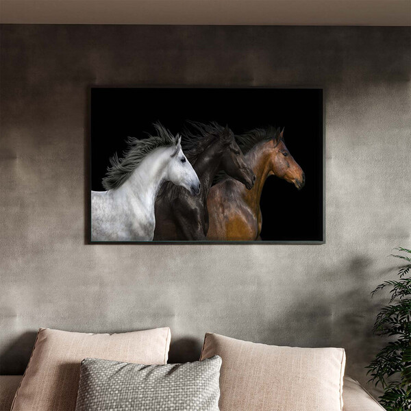 Quadro Decorativo Animais Raças Com Moldura Preto - 200x120 Cm