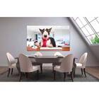 Quadro Decorativo Animal Business Dog - 90x60cm