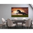 Quadro Decorativo Animal Cavalo Equestrian - 180x100cm