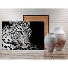 Quadro Decorativo Animal Guepardo - 100x70cm
