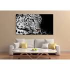 Quadro Decorativo Animal Guepardo - 100x70cm