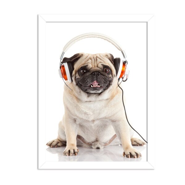 Quadro Decorativo Animal Meu Melhor Amigo Cachorro De Fone