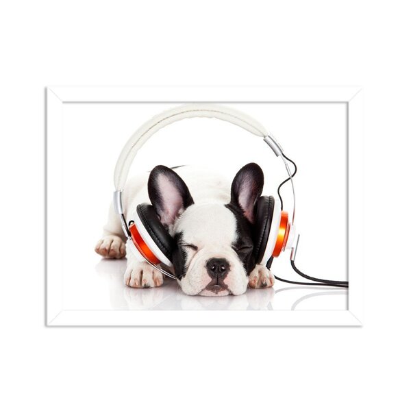 Quadro Decorativo Animal Meu Melhor Amigo Cachorro Filhote De