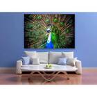Quadro Decorativo Animal Peacock - 150x100cm