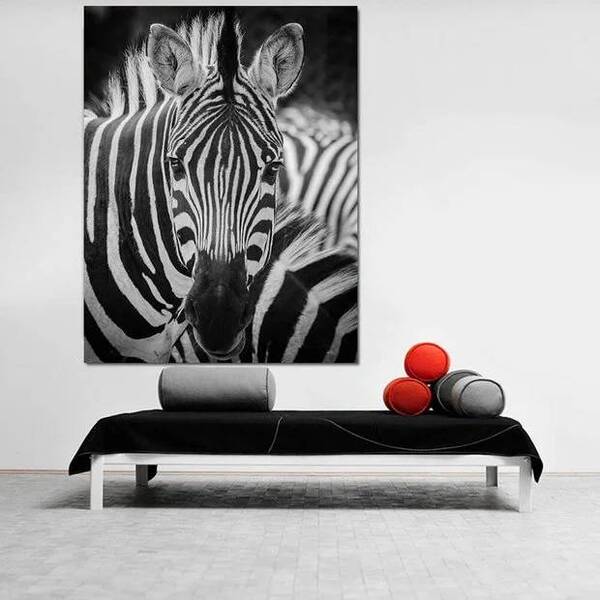Quadro Decorativo Animal Zebra - 200x100cm