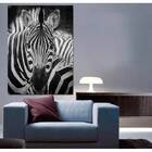 Quadro Decorativo Animal Zebra - 200x100cm
