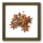 Quadro Decorativo - Anis - 22cm X 22cm - 109qdcm