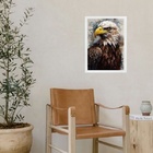 Quadro Decorativo Aquarela Águia 24x18cm - Com Vidro Moldura: