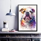 Quadro Decorativo Aquarela Bulldog Inglês 45x34cm - Com Vidro