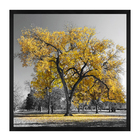 Quadro Decorativo Árvore 30x30cm Preto