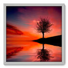 Quadro Decorativo - Árvore - 50cm X 50cm - 019qnpcb
