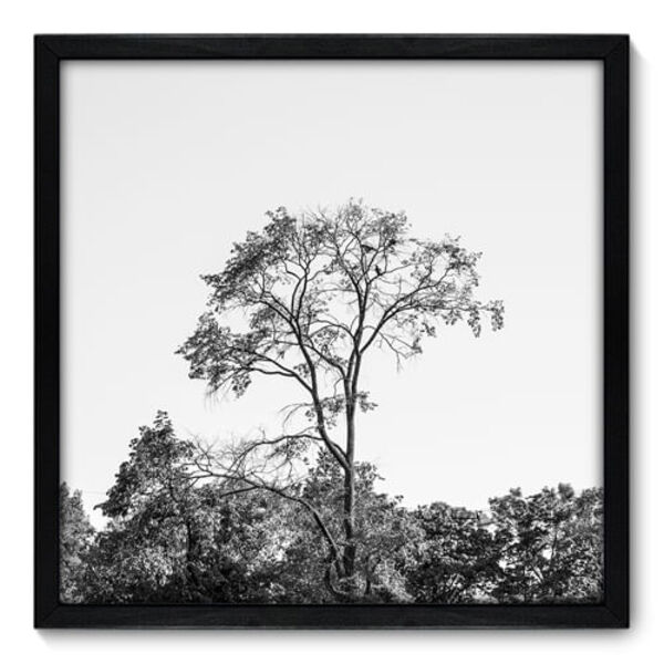 Quadro Decorativo - Árvore - 50cm X 50cm - 030qnpcp