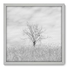 Quadro Decorativo - Árvore - 50cm X 50cm - 034qnpcb