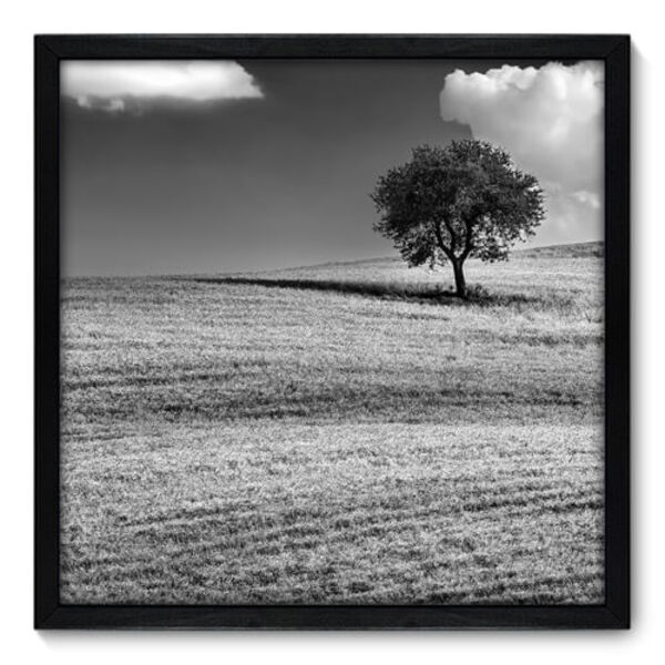 Quadro Decorativo - Árvore - 50cm X 50cm - 035qnpcp