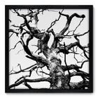 Quadro Decorativo - Árvore - 50cm X 50cm - 043qnpcp