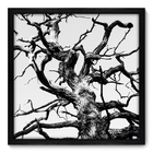 Quadro Decorativo - Árvore - 50cm X 50cm - 043qnpcp