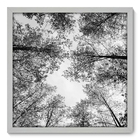 Quadro Decorativo - Árvore - 50cm X 50cm - 054qnpcb