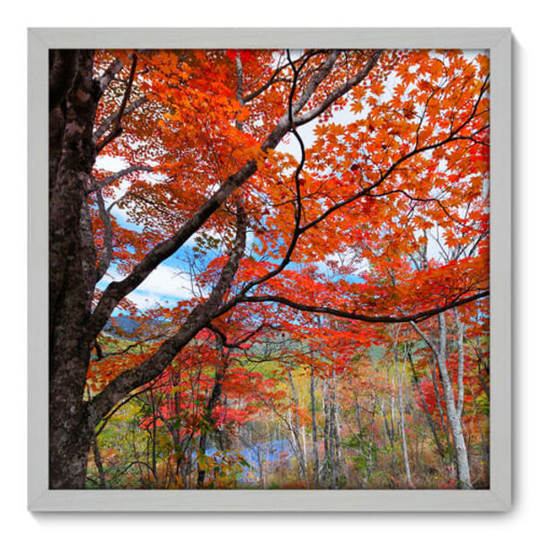 Quadro Decorativo - Árvore - 50cm X 50cm - 061qndcb