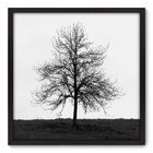 Quadro Decorativo - Árvore - 70cm X 70cm - 013qnpdp
