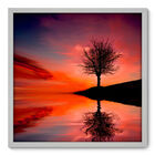 Quadro Decorativo - Árvore - 70cm X 70cm - 019qnpdb