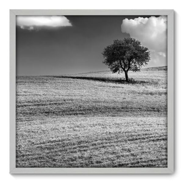 Quadro Decorativo - Árvore - 70cm X 70cm - 035qnpdb