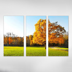 Quadro Decorativo Arvore Amarela