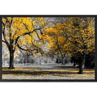 Quadro Decorativo Árvore Ipê Amarelo Sem Vidro Preto